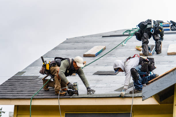 Professional Storm Damage Roof Repair technician working in Iola, KS
